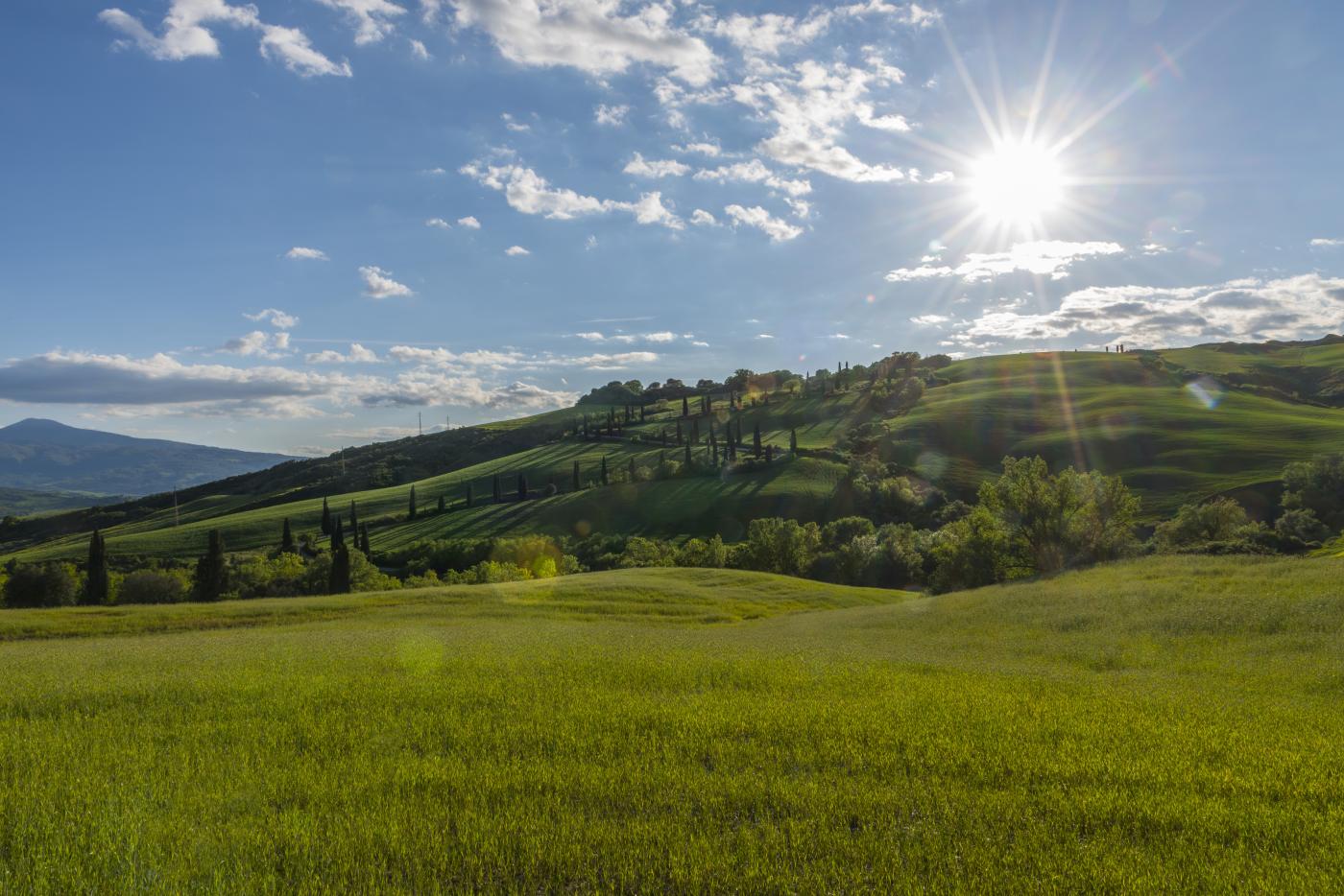 Paysage alsace